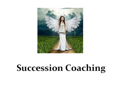 Succession Coaching